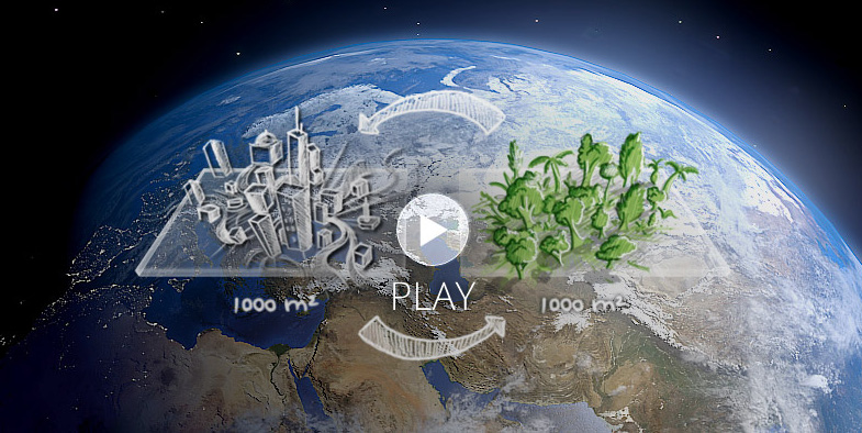 Proteger un bosque vulnerable en Cataluña