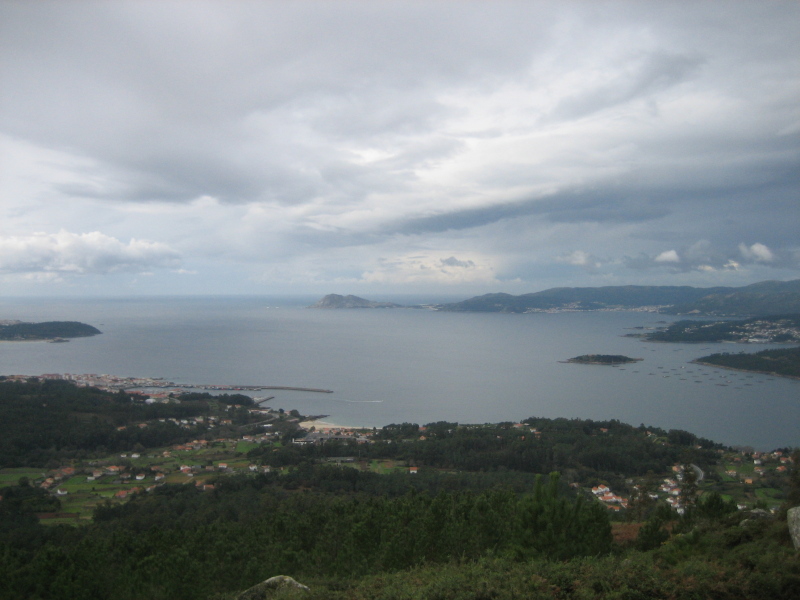 Cofradías y armadores denuncian el "desinterés" de la Xunta tras aparecer 500 salmones muertos en la ría de Noia