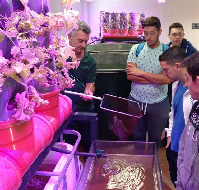 Málaga acoge proyectos de acuaponía y arquitectura verde