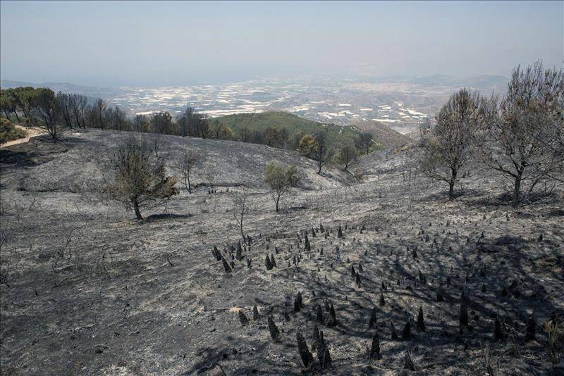 La Sierra Lújar ‘aún se lame la herida’ un año después del incendio forestal