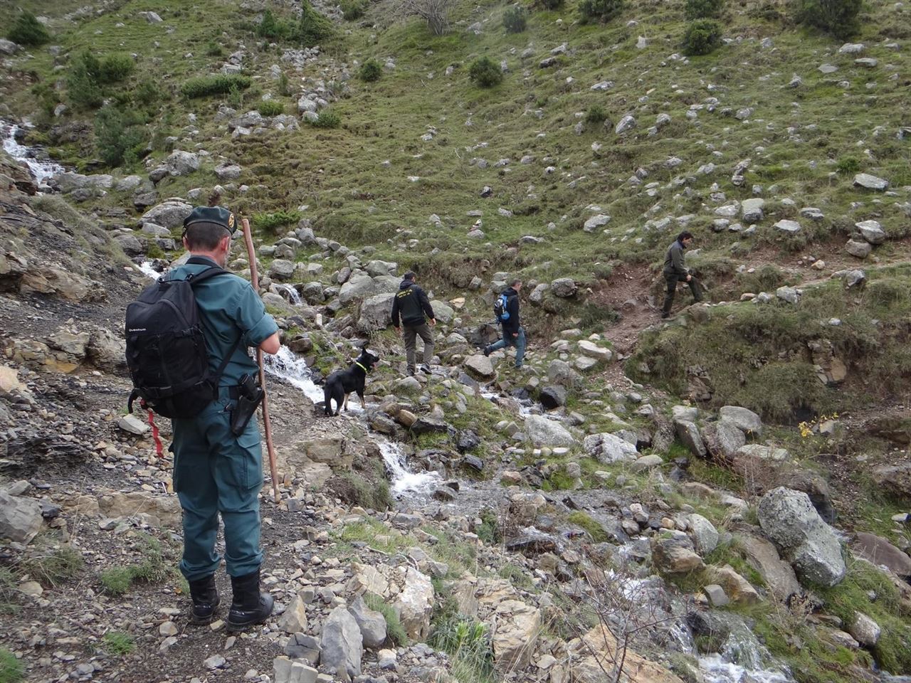 Medio Natural y la Unidad Canina contra el Veneno de la Guardia Civil implementan una campaña de control de cebos envenenados en el Alto Najerilla