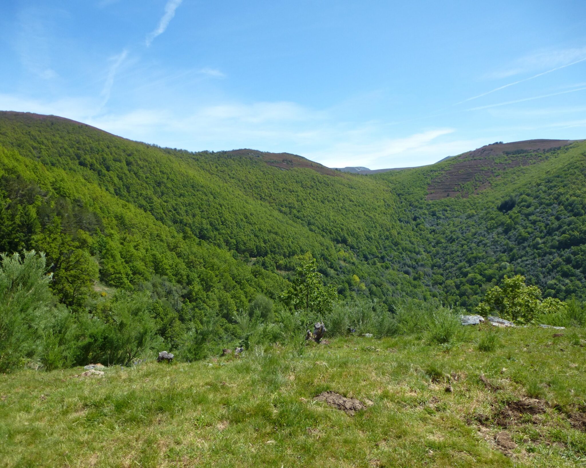 Se define el ‘Marco de Acción Prioritaria’ que identifica los objetivos y posibilidades de financiación de la Red Natura 2000