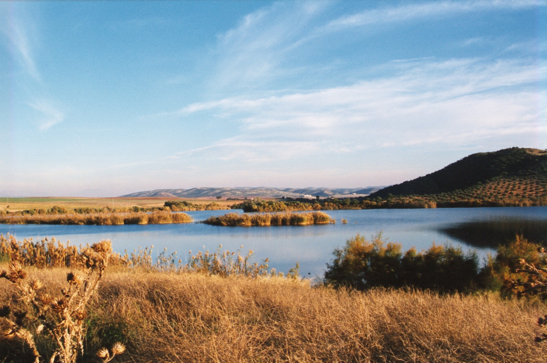 Desembalse controlado de agua en 20 pantanos pero el caudal del Guadalquivir sigue "estable"