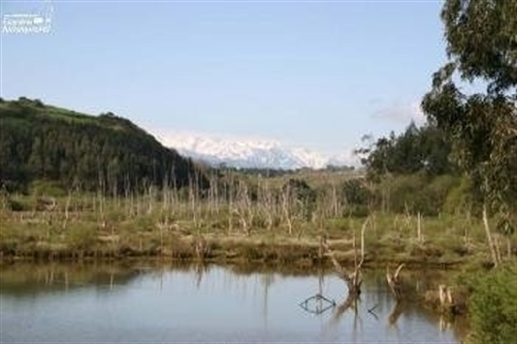 En Extremadura se reciclaron en 2016 un total de 7.800 toneladas de residuos de envases de vidrio