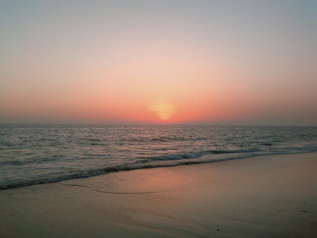 Acordonan playas de El Vendrell para proteger la reproducción del frailecillo blanco