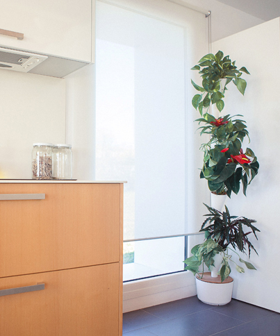 Jardines verticales en espacios de interior urbanos