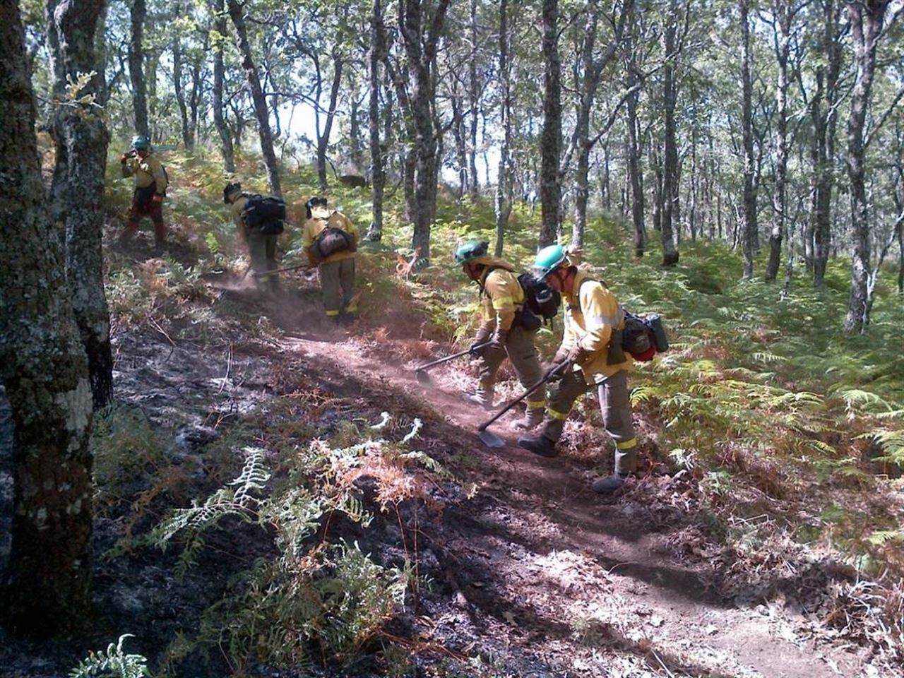 Protestas y posible huelga de bomberos andaluces si no se reconoce la categoría forestal