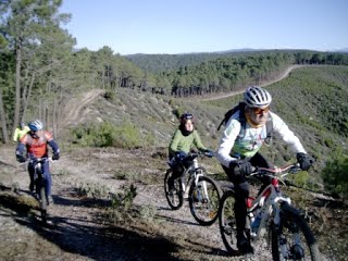 Soria. Anulada la urbanización de un monte de utilidad pública en Navaleno