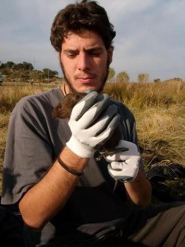 El visón americano causa ‘estragos’ en especies autóctonas en la Sierra de Francia
