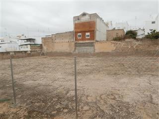 Peligra una colonia de Cernícalo primilla en Aguilar (Córdoba)