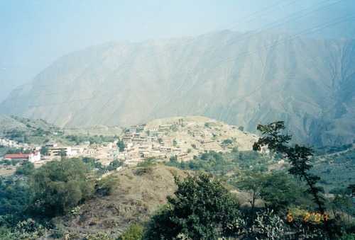 Declaran al Bosque de Zárate como zona reservada