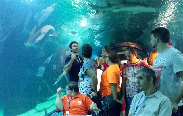 Oceanogràfic y sus especies ayudan a personas discapacitadas