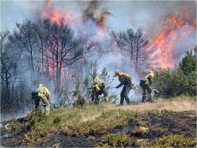 El Gobierno da 400.000 euros para restaurar el área afectada por el gran incendio del pasado verano en Navarra