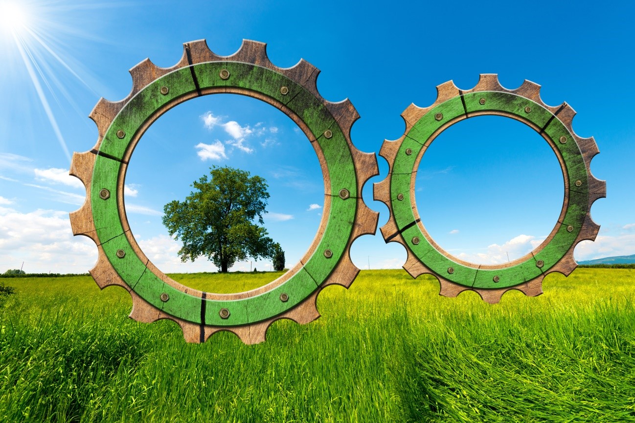 Nuevas necesidades de formación para la Economía Circular