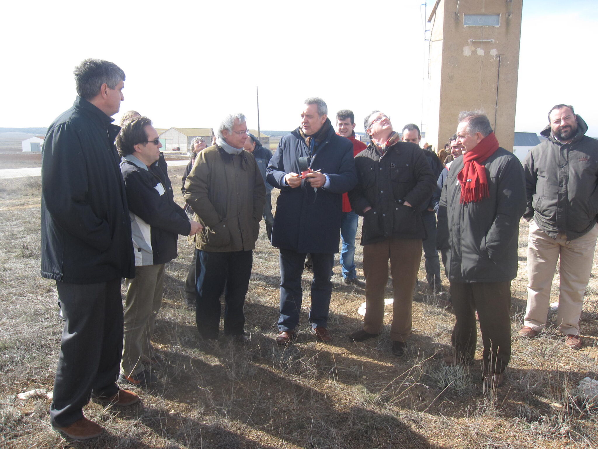Las aves muertas por electrocución en tendidos eléctricos corregidos por Endesa y el Departamento de Medio Ambiente en Aragón se han reducido en un 94%