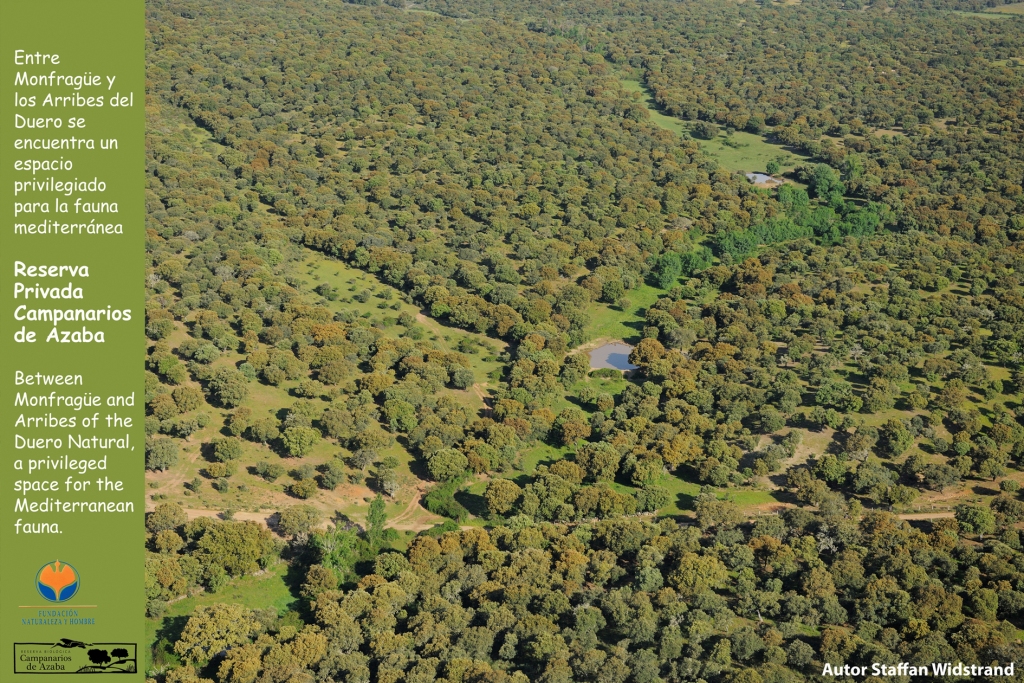 Fundación Naturaleza y Hombre presente en el Wild Ten