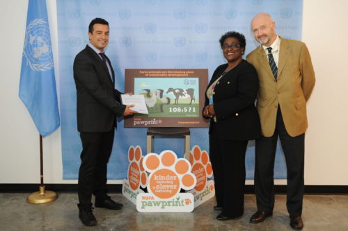 Más de 100 mil personas les pidieron a los líderes del mundo que incluyan el bienestar animal en la agenda de Río+20