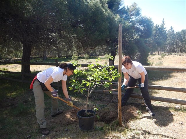 Empleados de Gas Natural Fenosa y familiares participan en una jornada de conservación del entorno de la Pedriza(Madrid)