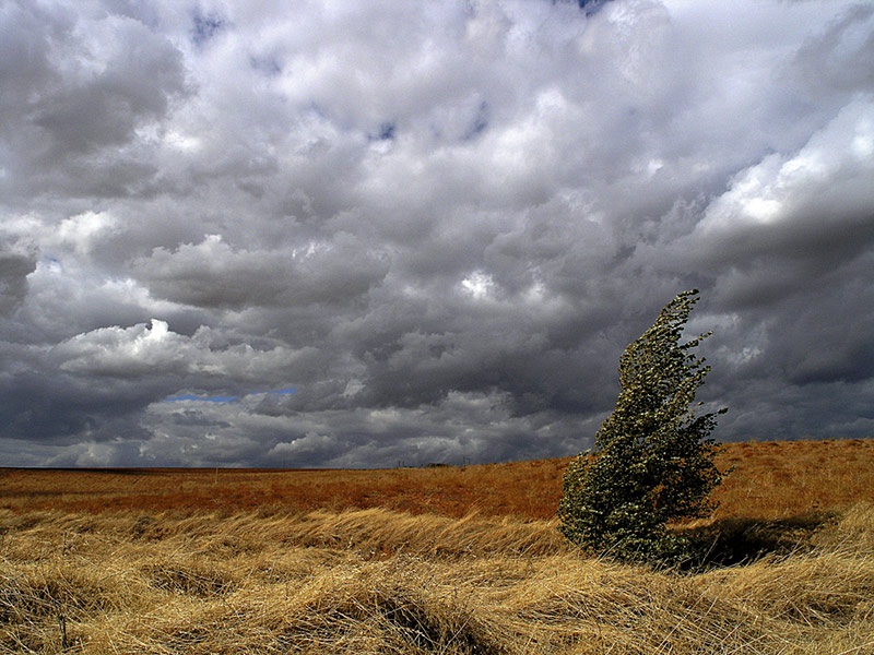 Viento. El nuevo petróleo español