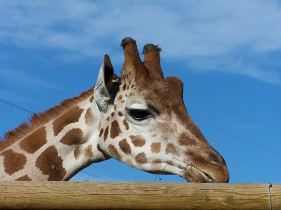 Murcia. Terra Natura envuelta en la polémica