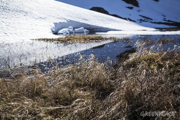 Tus peticiones para Salvar el Ártico llegan hasta Naciones Unidas