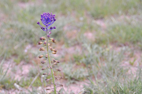 El Gobierno de Aragón participa en un proyecto europeo de e-learning sobre la gestión de sequías