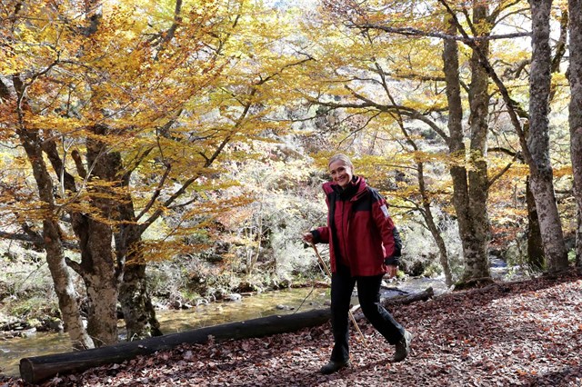 Cuál es el futuro del ‘Hayedo de Montejo’