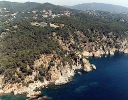 Por indefensión el Tribunal Supremo ordena retrotraer las actuaciones del parque eólico de Biure (Girona)