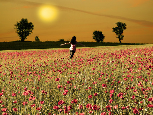 ‘OPTIMISMO’ la nueva arma para luchar contra el calentamiento global