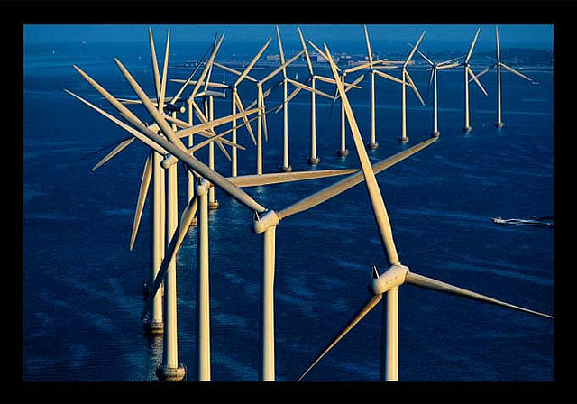 El area propuesta para Aerogeneradores en el Golfo de Cádiz está formada exclusivamente por fondos de Fango