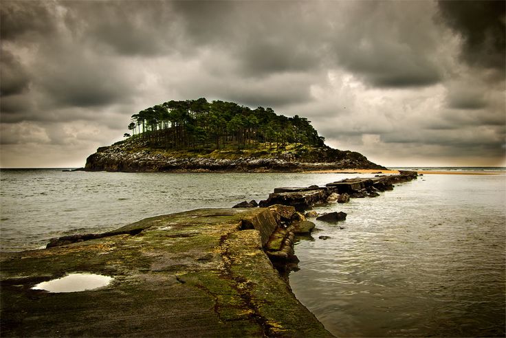 Escolares y vecinos de Lekeitio (Bizkaia) plantan 700 árboles en la isla de Garraitz