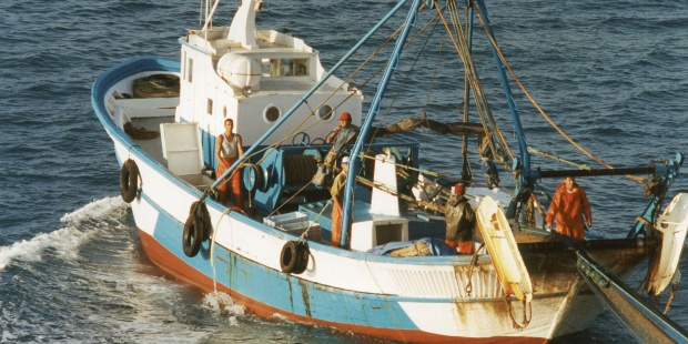 Costa Rica. ‘Rivalidad’ entre instituciones impide efectividad de pesca