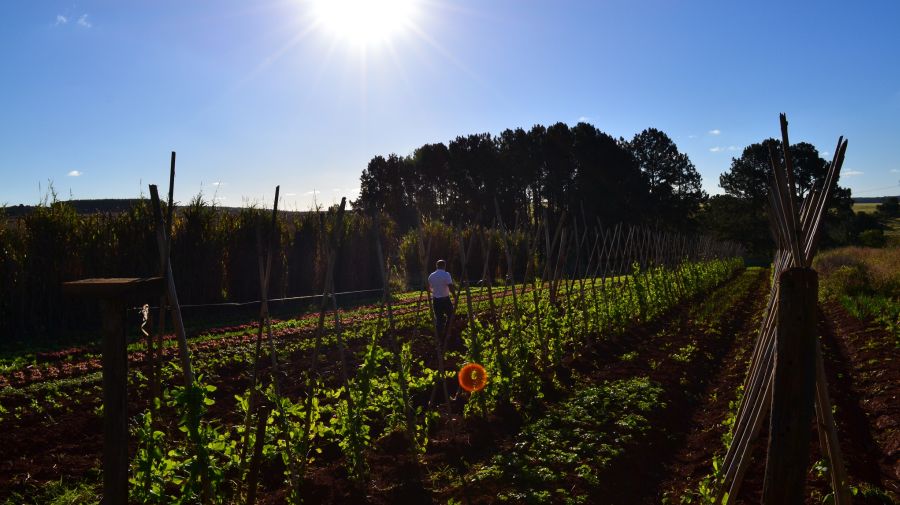 FAO asesorará a países de América Latina a mitigar impacto cambio climático