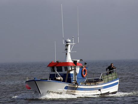 Cepesca acusa a Bruselas de "vender" el sector pesquero a los ecologistas