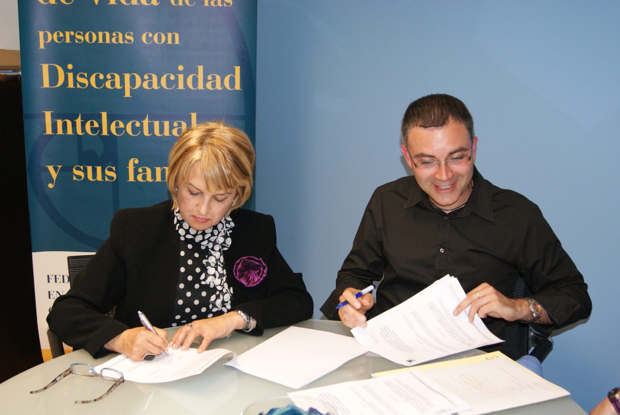 Sostenibilidad ambiental en el sector de la dispacidad