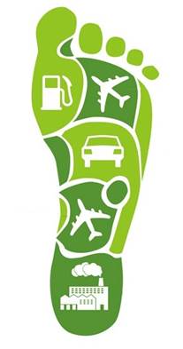 Aprende a calcular la huella de carbono con CREARA