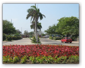Cartagena. Los jardines municipales se regarán con aguas subterráneas