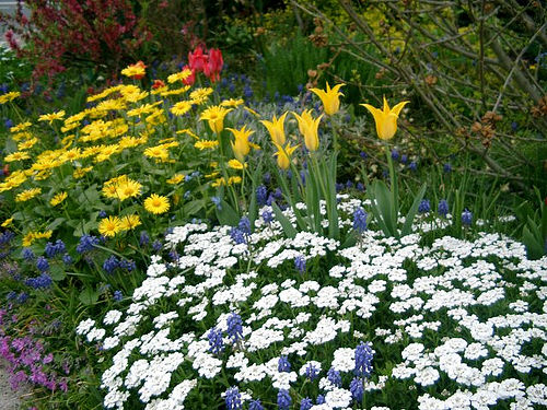 "A limpiar el mundo 2009"