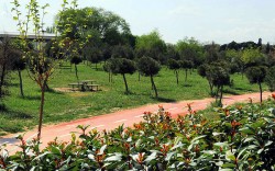 Los grandes parques y zonas verdes de Madrid acogerán actividades para celebrar el Día Mundial del Medio Ambiente