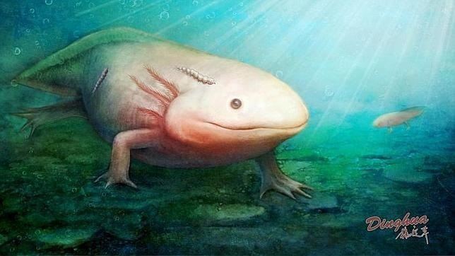 Conoce el fósil de una ‘extraña’ larva de mosca del Jurásico