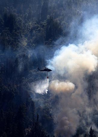 Los incendios en Colombia han consumido 11.946 hectáreas este año