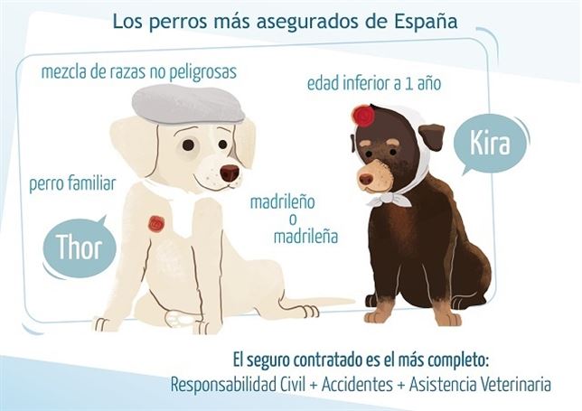 Sabes cuál es el prototipo de mascota que cuesta menos ‘asegurar’