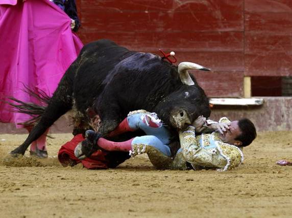 El Defensor del Pueblo Andaluz admite las quejas de Ecologistas por el dinero público destinado a los toros