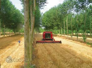 Europe loses $ 460 billion yearly due to nitrogen pollution – assessment