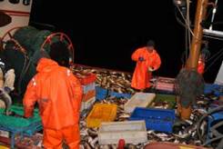 La UE castiga  a 10 Estados Miembros con 25.000 toneladas menos de pescado por rebasar sus cuotas de pesca