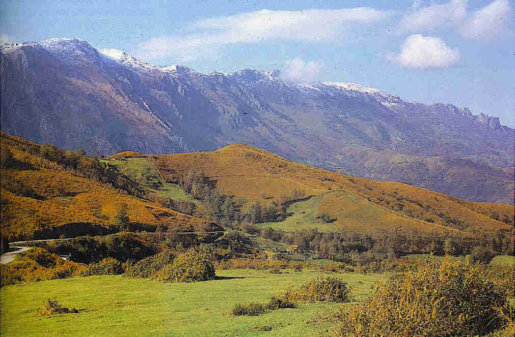 El Principado impulsa un proyecto de recuperación de las poblaciones de rebeco en la Sierra del Aramo