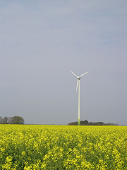 Las nuevas subvenciones de la CARM para poner en marcha campos fotovoltáicos pueden llegar a costear un máximo del 60% de la instalación