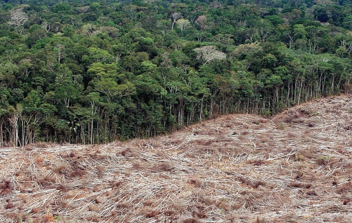 La ley que sentencia a ‘muerte’ el futuro de la Amazonía