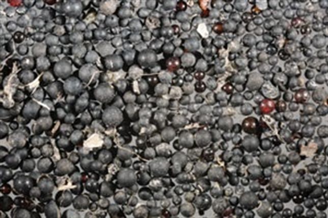 Contaminación por microplástico en el Río San Lorenzo (Canadá)