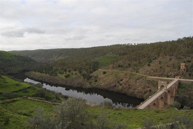 La Reserva de la Biosfera Tajo-Tejo ya es una realidad